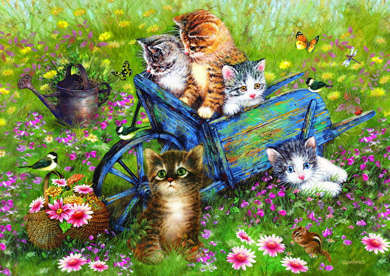 Chatons dans le jardin 1000 mcx