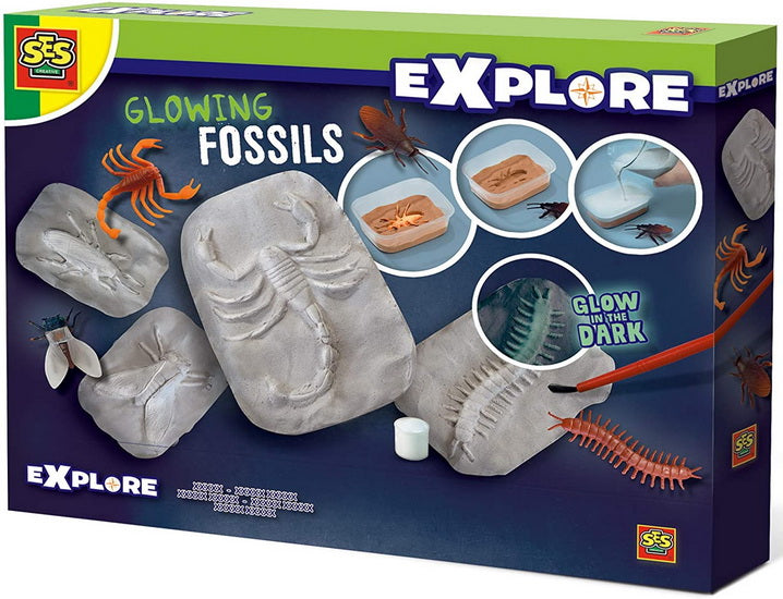 Fossiles brillants à fabriquer