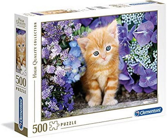 Chat roux dans les fleurs 500 mcx