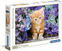 Chat roux dans les fleurs 500 mcx