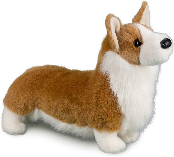 Chadwick le corgi