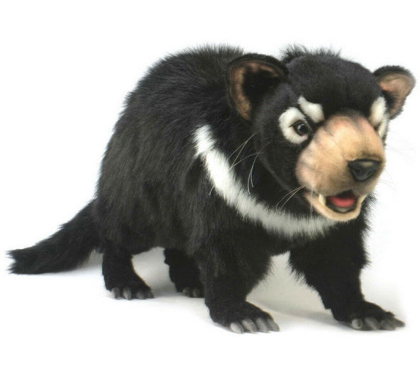 Peluche Diable de Tasmanie 60cm