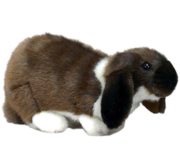 Peluche Lapin 22cm