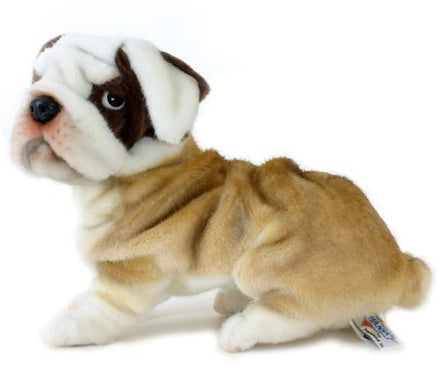 Peluche Bulldog 27cm