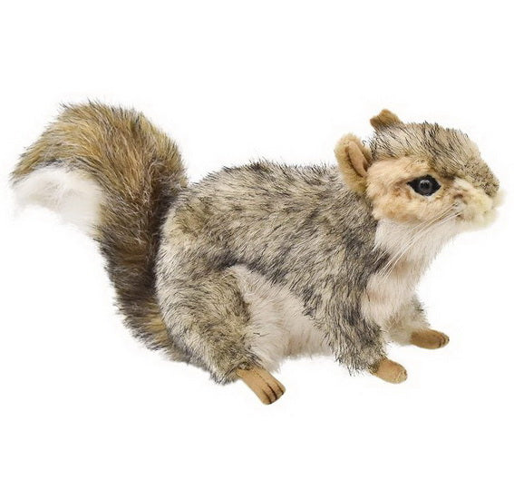 Peluche Écureuil gris avec boite 15cm