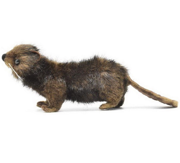 Peluche Castor avec boite 15cm