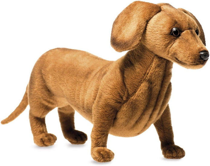 Peluche Teckel 42cm
