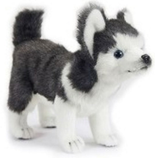 Peluche chiot Husky 20cm