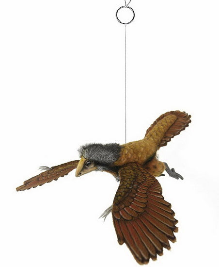 Peluche Archaeopteryx 35cm