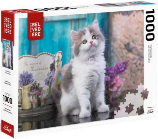 Curieux chaton 1000 mcx 