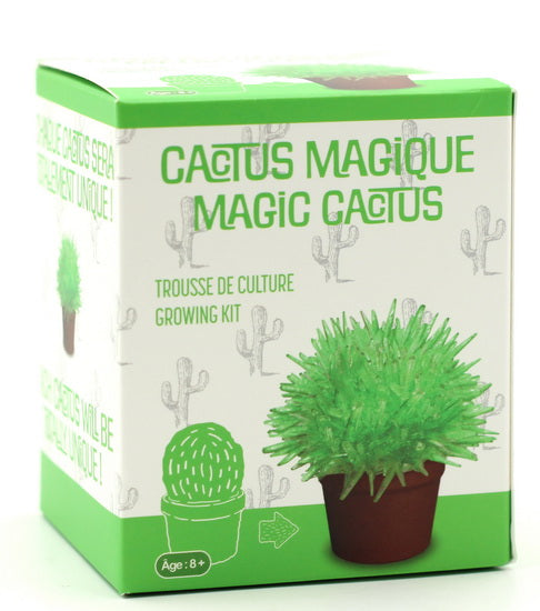 Ens. croissance de cristaux – Cactus vert
