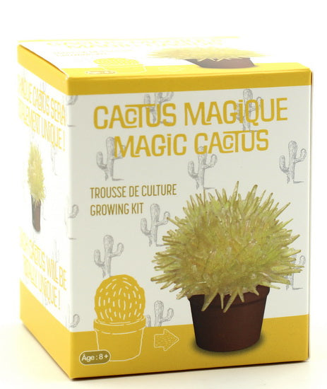 Ens. croissance de cristaux – Cactus jaune