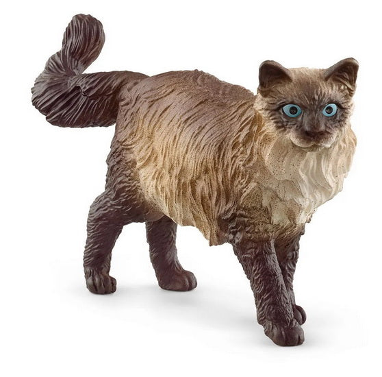 Figurine Chat ragdoll