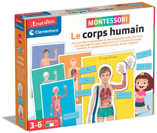 Montessori le corps humain