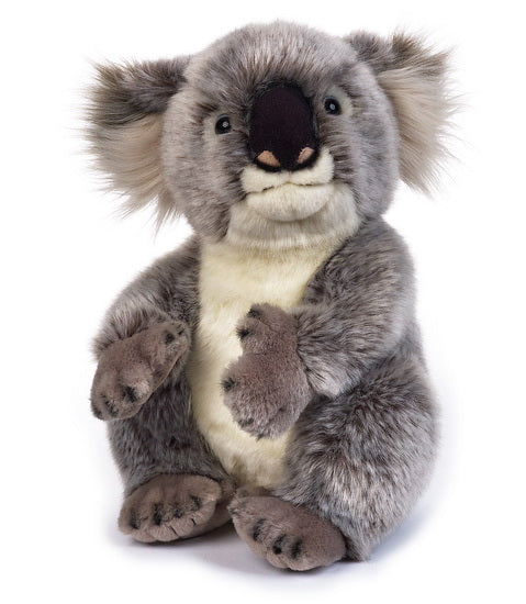 Petite Peluche Koala