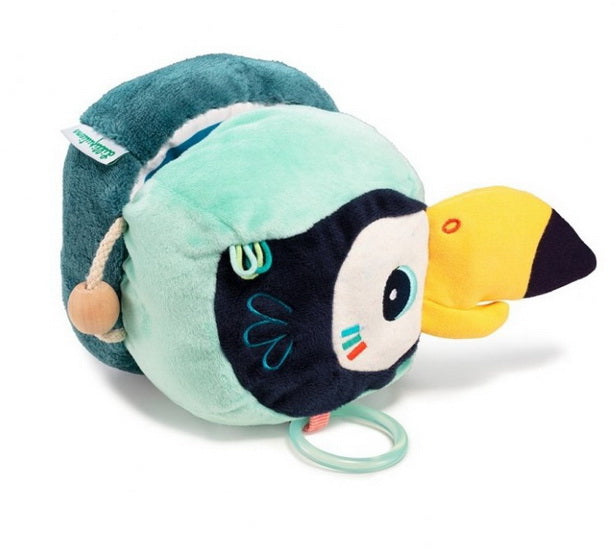 Toucan Pablo découvertes