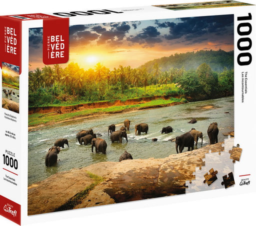 Les éléphants 1000 mcx