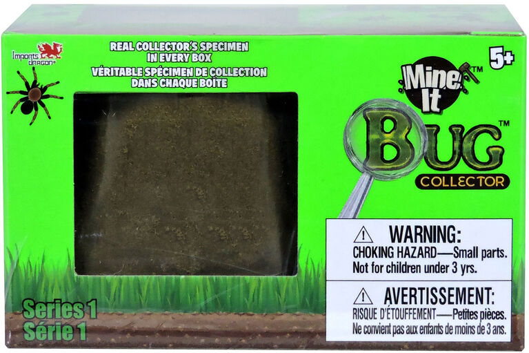 Creuser et découvrir les insectes 4AS