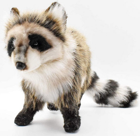 Peluche Raton Laveur debout 35cm