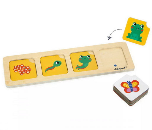 Cartes séquences Le jardin