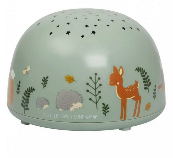 Projecteur lumineux : amis de la...