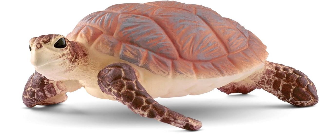 Figurine tortue marine à bec court