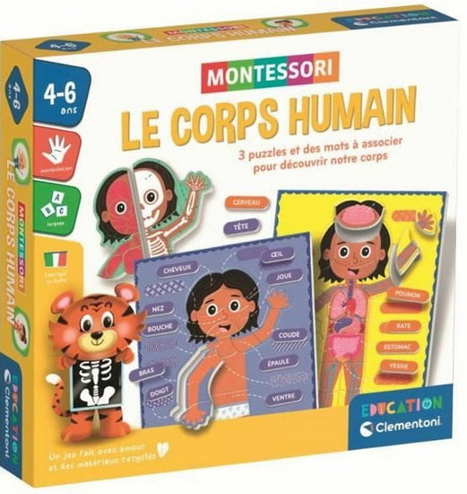 Montessori Le corps humain