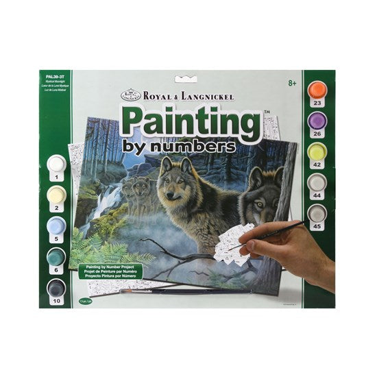 Peinture à numéro Claire de lune Mystique