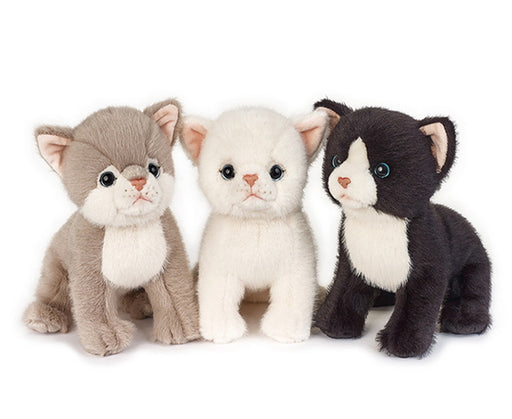 Peluche chats 25 cm 3AS