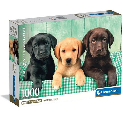 Trois labradors 1000 mcx
