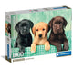 Trois labradors 1000 mcx