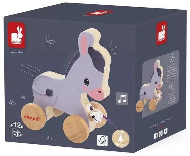 Ferme : âne à promener