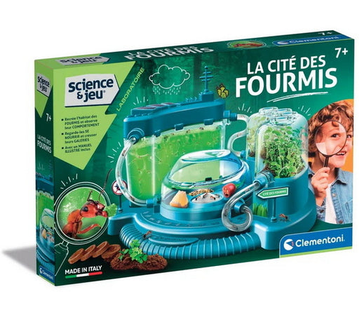 La cité des fourmis