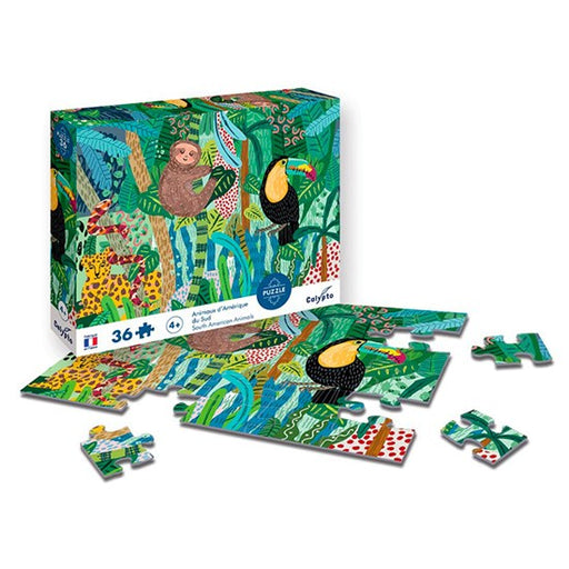 C-T CALY.ENF 4+ AMERIQUE DU SUD 36PC