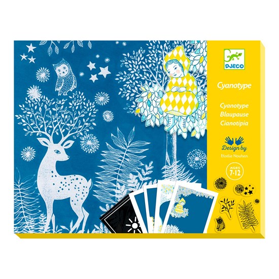 CYANOTYPE - AU CLAIR DE LA LUNE   