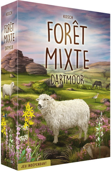 Forêt Mixte Dartmoor