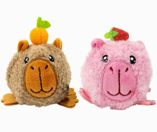 Balle anti-stress capybara 2AS 
