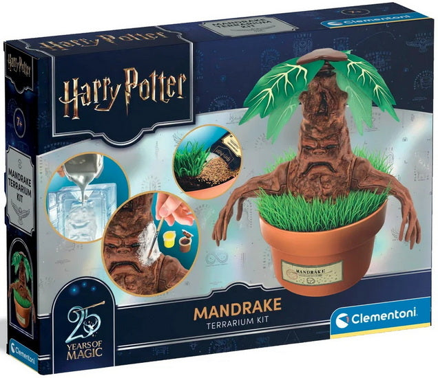 Harry Potter mandragore