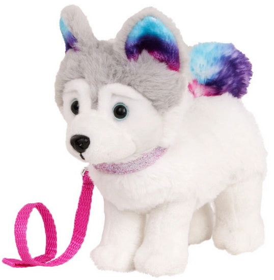Chiot husky sibérien