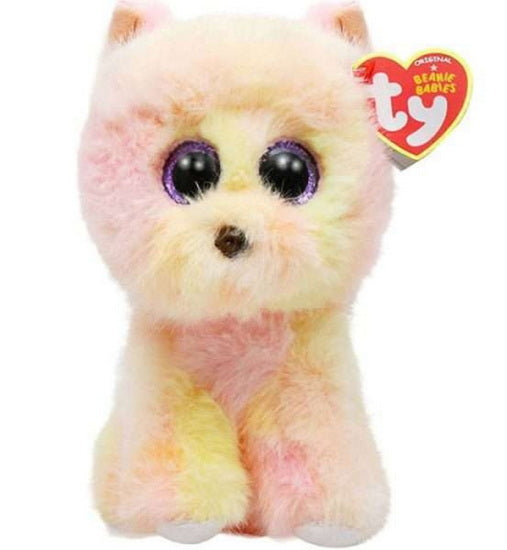 Chien Pomeramien jaune Palmer petit