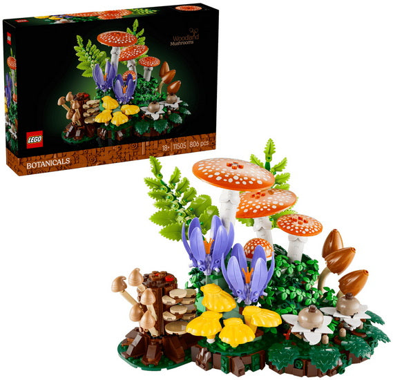 Les champignons des bois