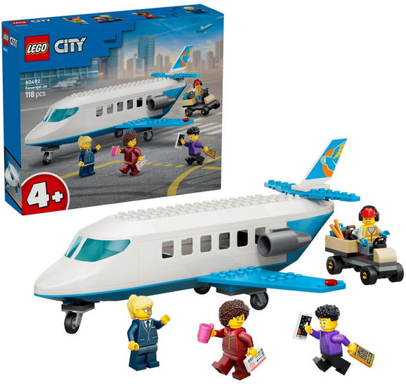 L’avion de tourisme
