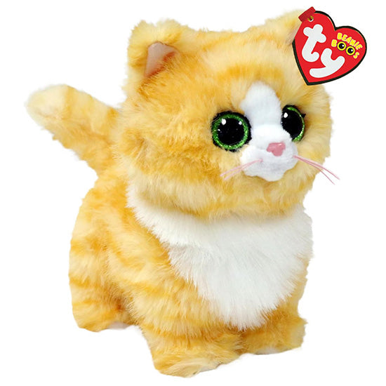 Chat roux Melanie petit