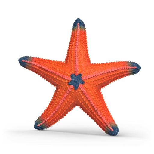 Figurine étoile de mer couleur changeante