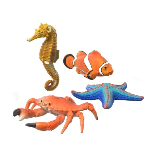 Coffret découverte d'animaux marins