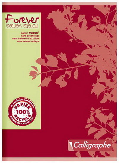 Cahier piqué Forever 5/5 Graph 96p 17x22cm AS