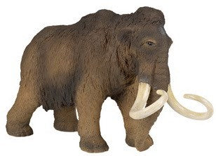 Fig. Mammouth